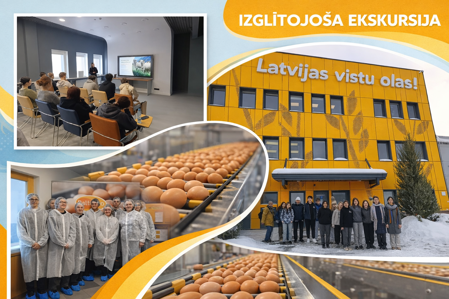 Kolāža ar virsrakstu “Izglītojoša ekskursija”, kurā redzami skolēni mācību vizītē uzņēmumā “Latvijas vistu olas”. Attēlos redzama prezentācija konferenču telpā, skolēni aizsargtērpos ražotnē, olu šķirošanas līnija tuvplānā un kopbilde pie dzeltenās uzņēmuma ēkas fasādes. Kolāžas dizainā izmantoti dzelteni un gaiši zili grafiskie elementi.